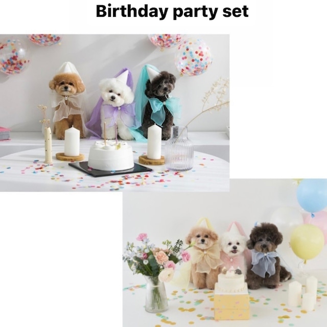 即納販売　Birthday set（cape ＋hat）誕生日パーティーセット　韓国犬服　witiwiti