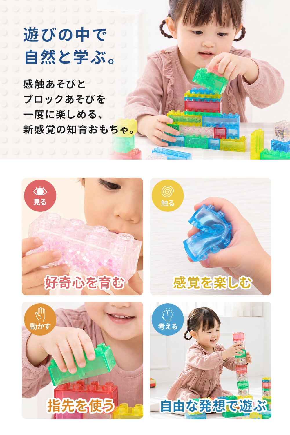 スクイーズブロック＜36ピースセット＞ | MRG JAPAN Direct