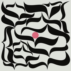 〈残り1点〉【LP】Rosa Brunello - We Are Surging Waters