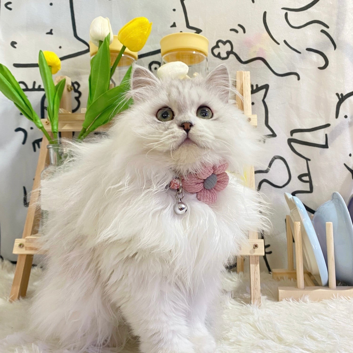 Flowerポイント首輪 猫 チョーカー 花 | nyanpets 猫グッズ専門店