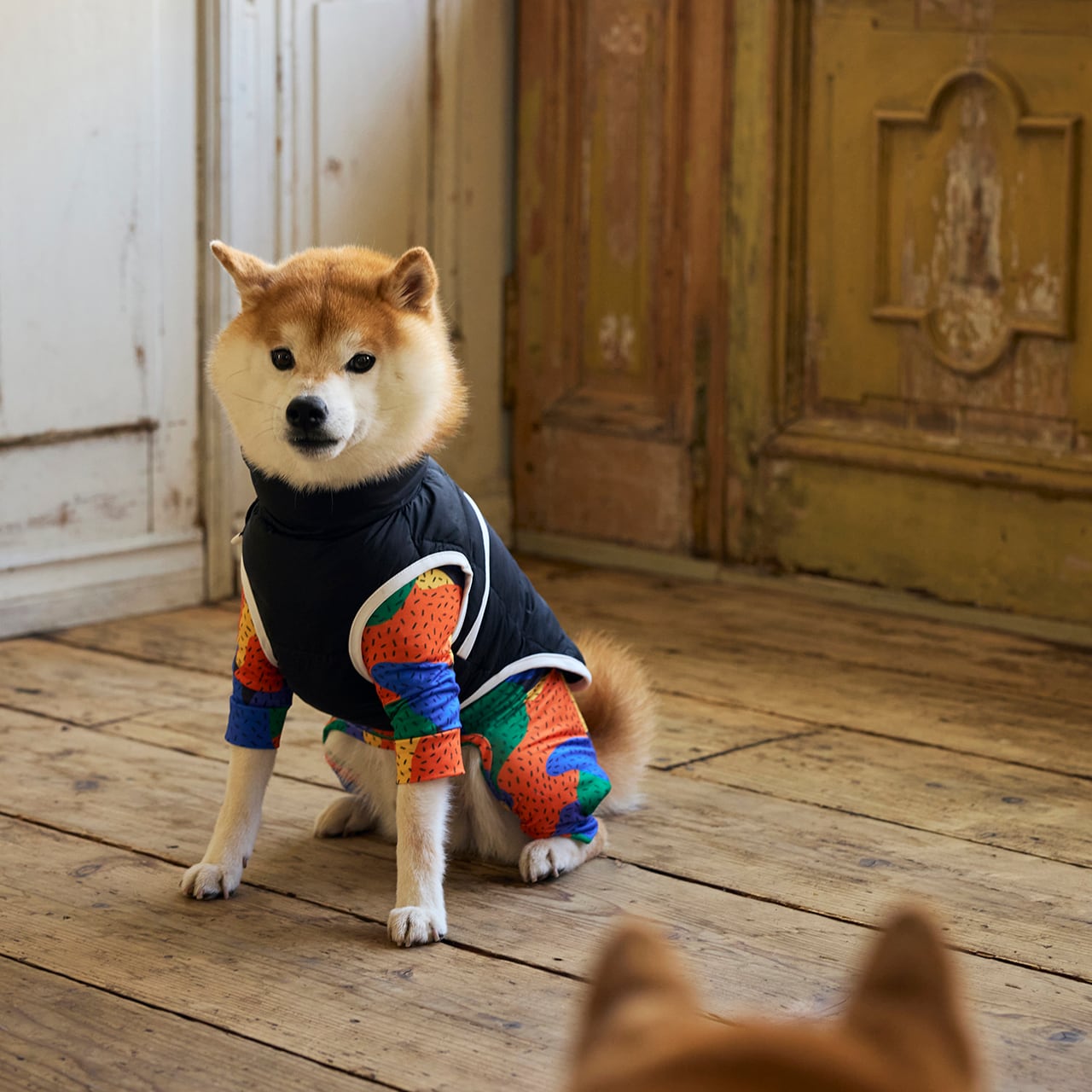 SKIN TIGHT SUIT MULTI PRINT（3L.4L.5L）スキンタイトスーツ