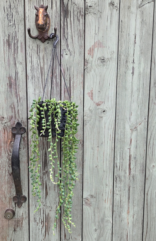 エンジェルティアーズ