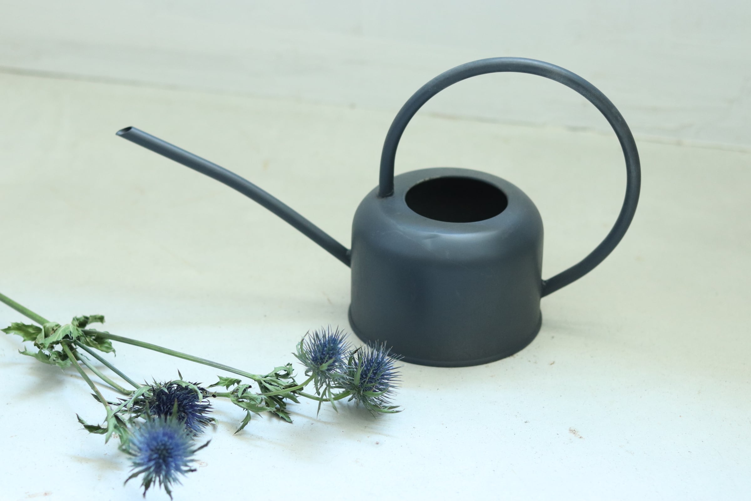 ブリキのジョウロ 3