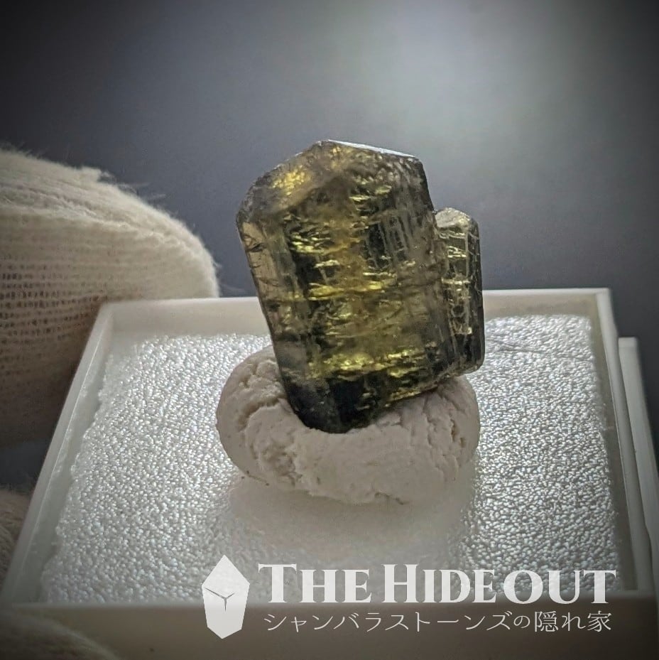 ヒマラヤ聖者への道 セット販売 小物 野筆セット 1124740 | スポーツ用品ならヒマラヤオンライン