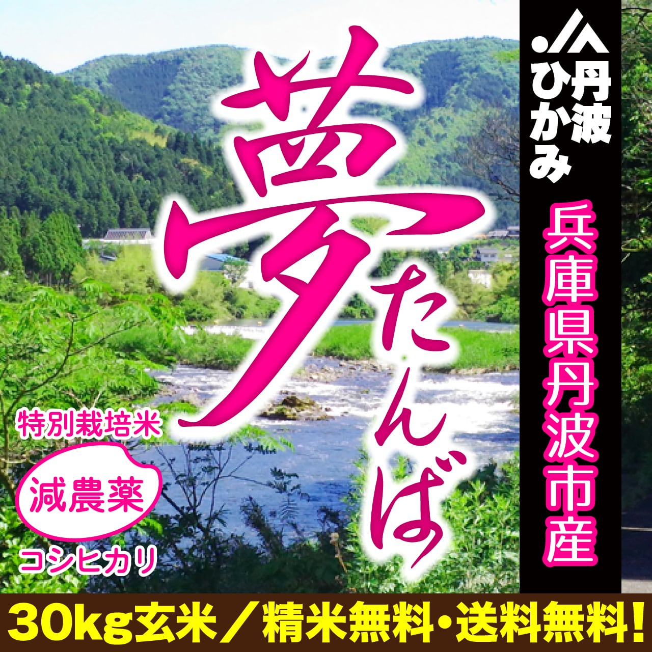 令和5年産 特別栽培米 兵庫県丹波産夢たんばこしひかり 玄米30kg