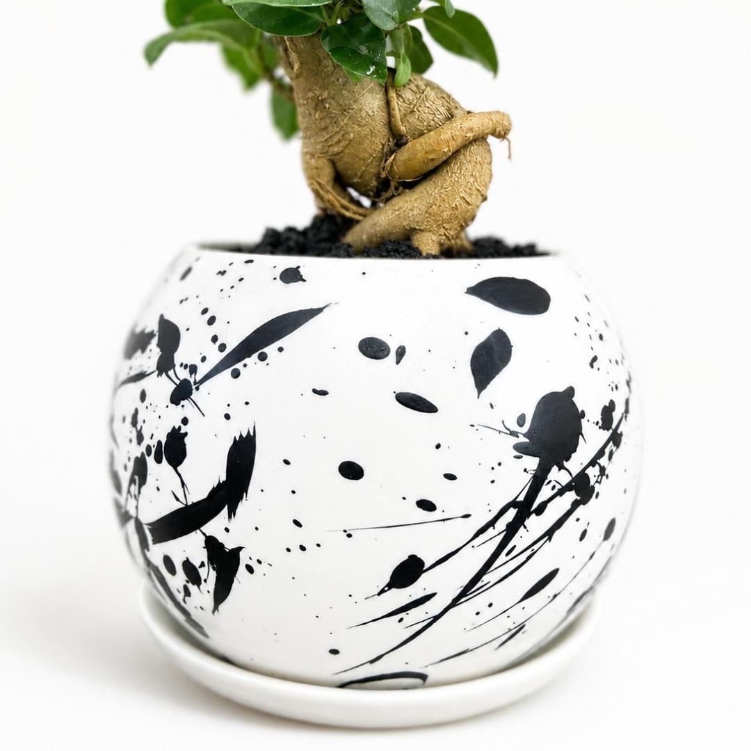 多幸の木」スプラッター柄の鉢に植えられたガジュマル | インテリア