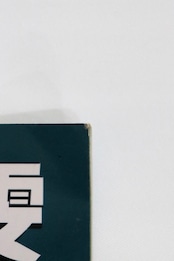 Faye Wong 1995 Photo book "真我個性"