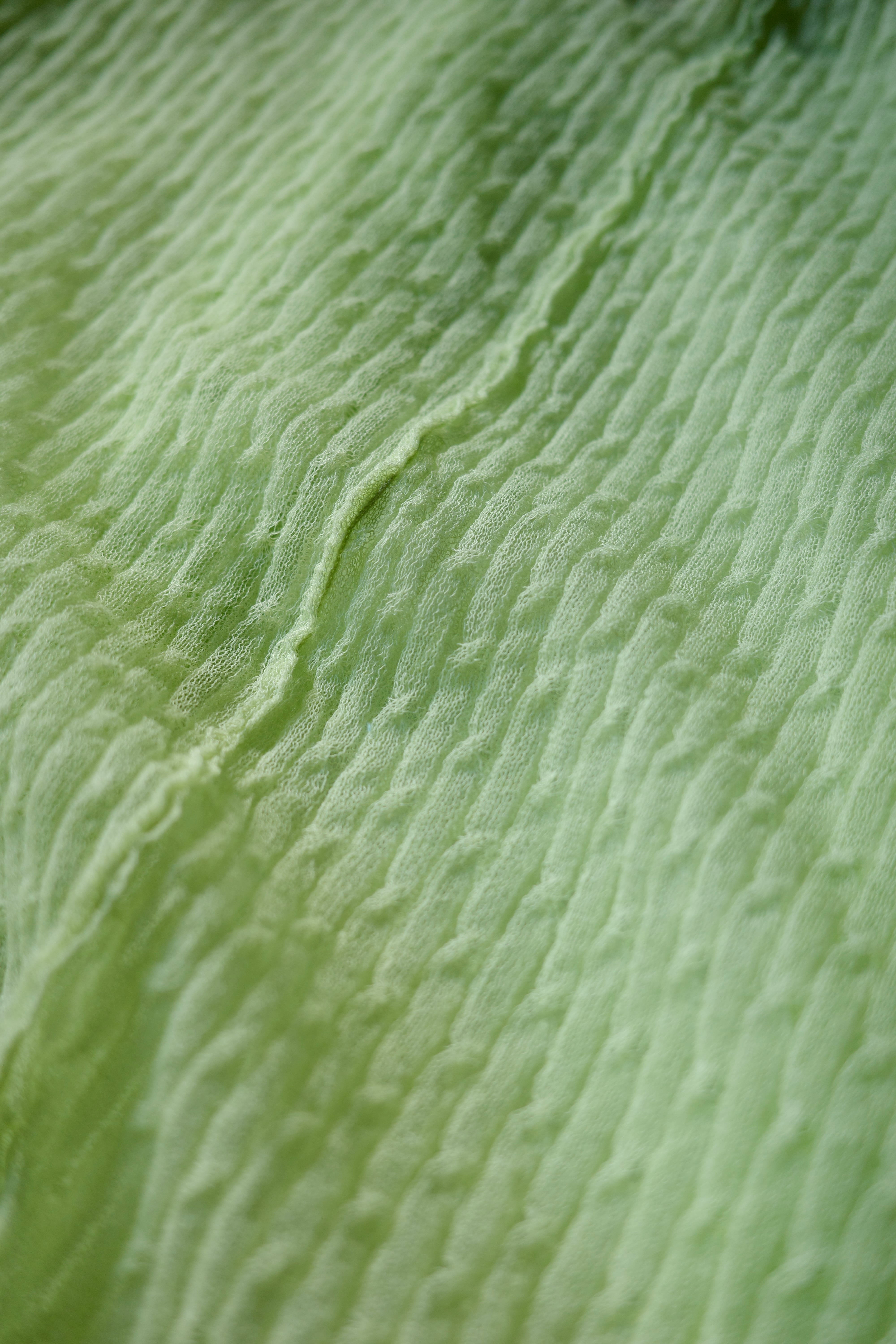 Kota Gushiken 【Shir-digan -Lime-】 | PAY ID