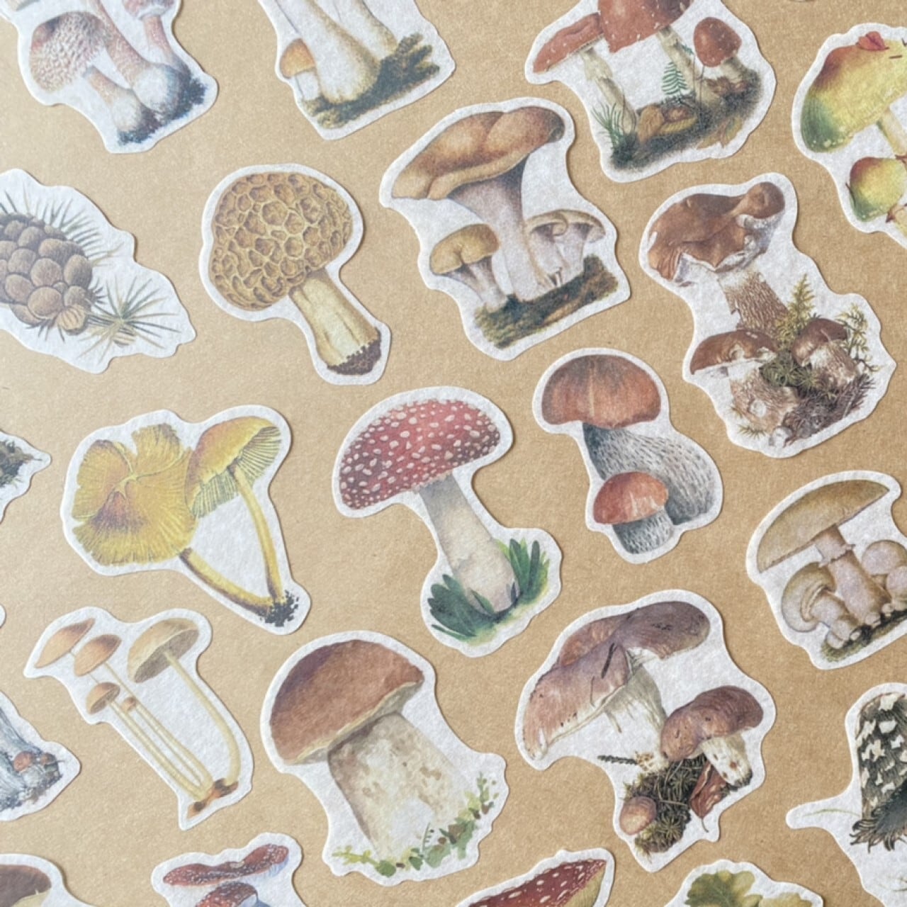J103 きのこ ステッカー フレークシール 60枚 コラージュ ヴィンテージ