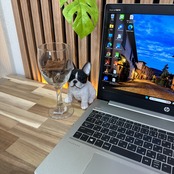 \ 公式ショップ限定価格❣️/ 最高峰《ハイスペック》HP ProBook 450 G7 最高峰i7 第10世代 メモリ16GB SSD256GB ノートパソコン 安心サポート&3ヶ月保証付き