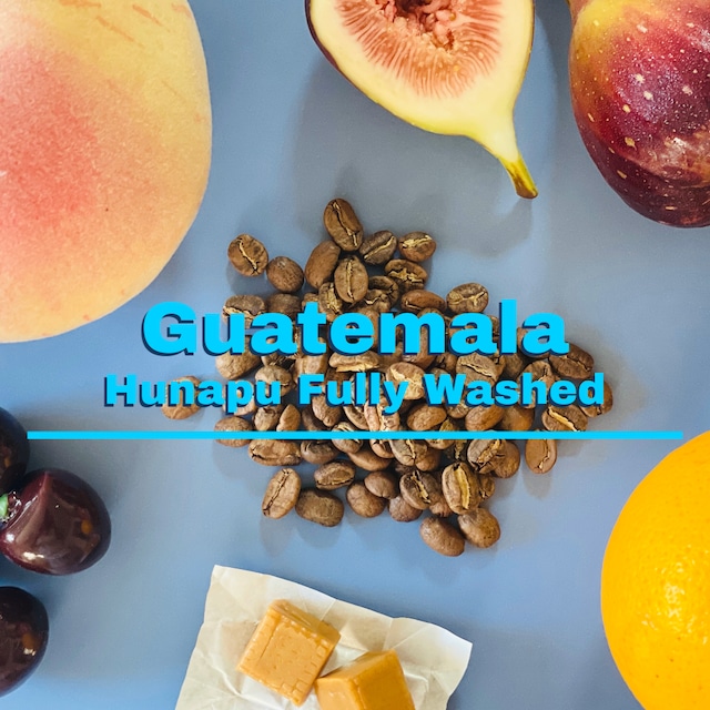 GUATEMALA Hunapu Fully Washed 100g