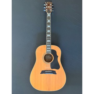 MG Morris MG-50 アコースティックギター