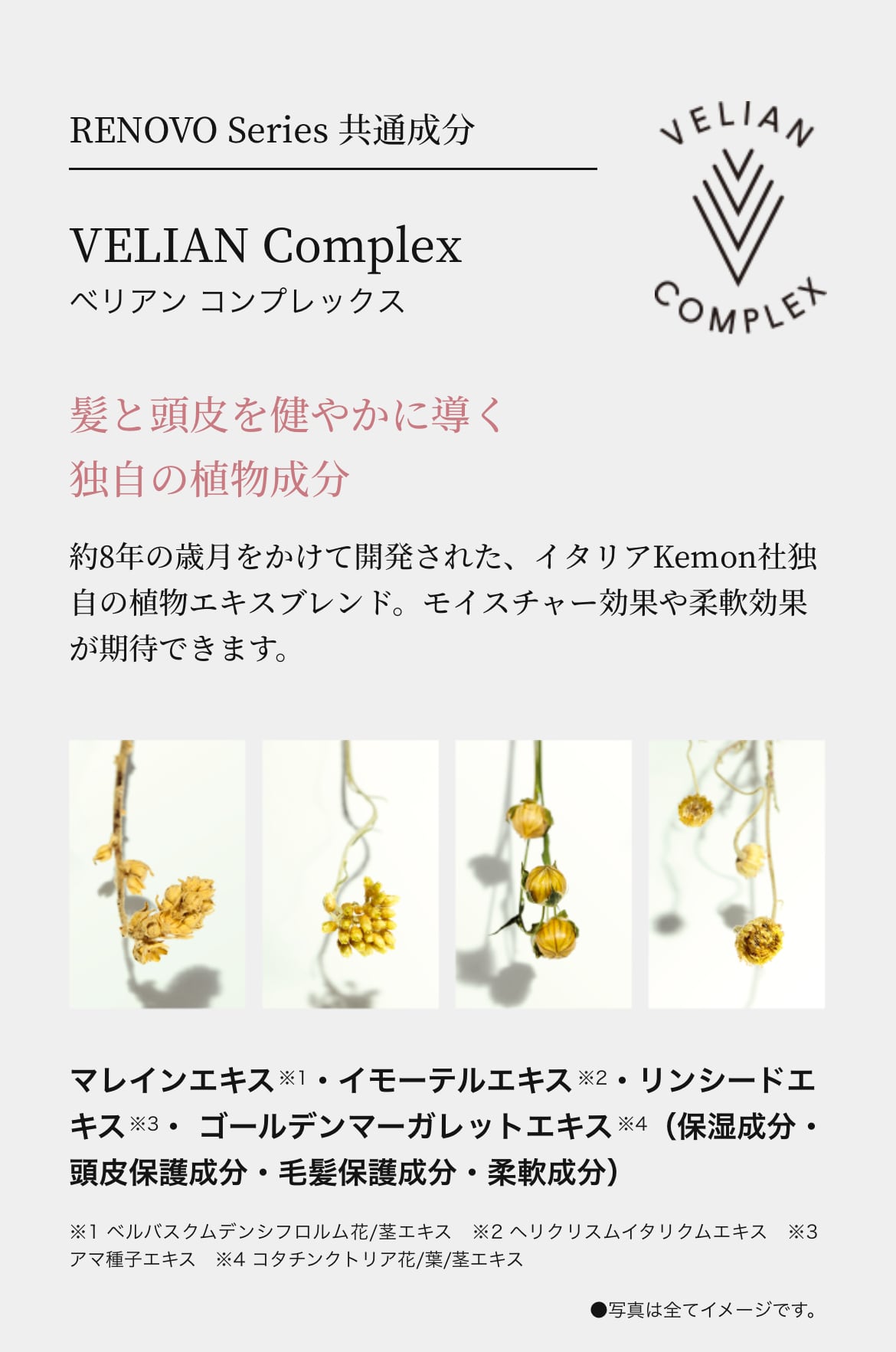 ヴィラロドラ　レノーボ　テンプストリートメント1200ml RENOVO TEMPUS / FULGENS（レノーボ テンプス / フルジェンス