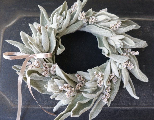 ラムズイヤーの優しいミニリース ドライフラワー ピンク Decofleur Blees