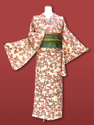小紋 袷着物 着物 きもの カジュアル着物 リサイクル着物 kimono 梅花文 中古 仕立て上がり 身丈157.5cm 裄丈64.5cm
