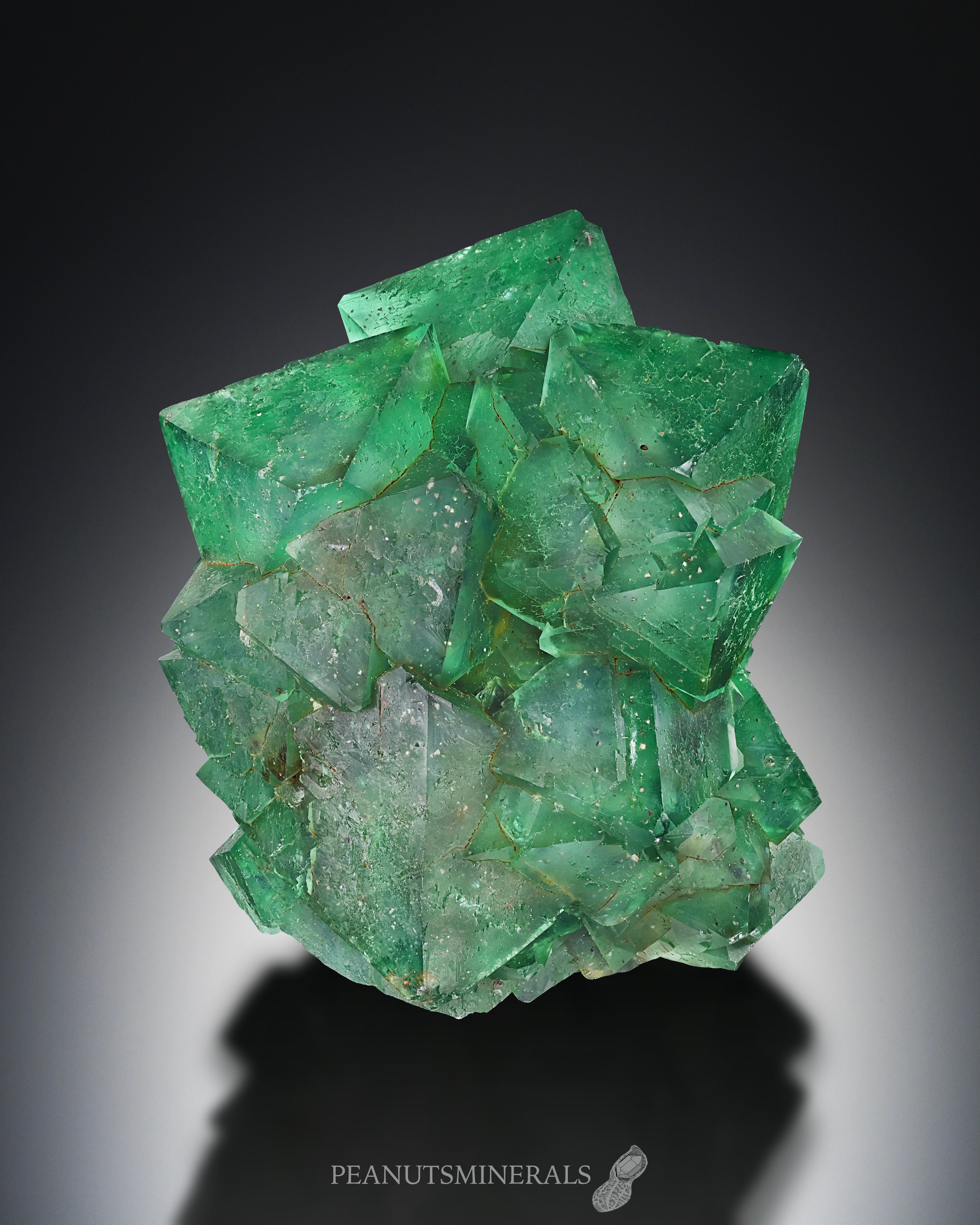 フローライト【Fluorite】南アフリカ産 | PEANUTS MINERALS