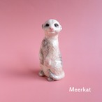 フラワーベース「Meerkat」