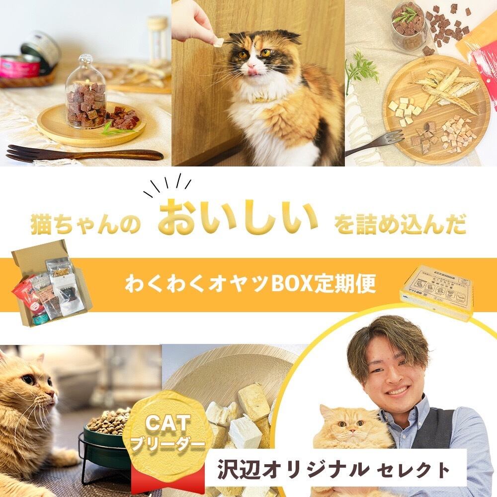 お値下げ！人気作家様　猫ちゃん ねこデリ【1ヶ月毎にお届け！】毎月メニューが変わる！（お品書き付き