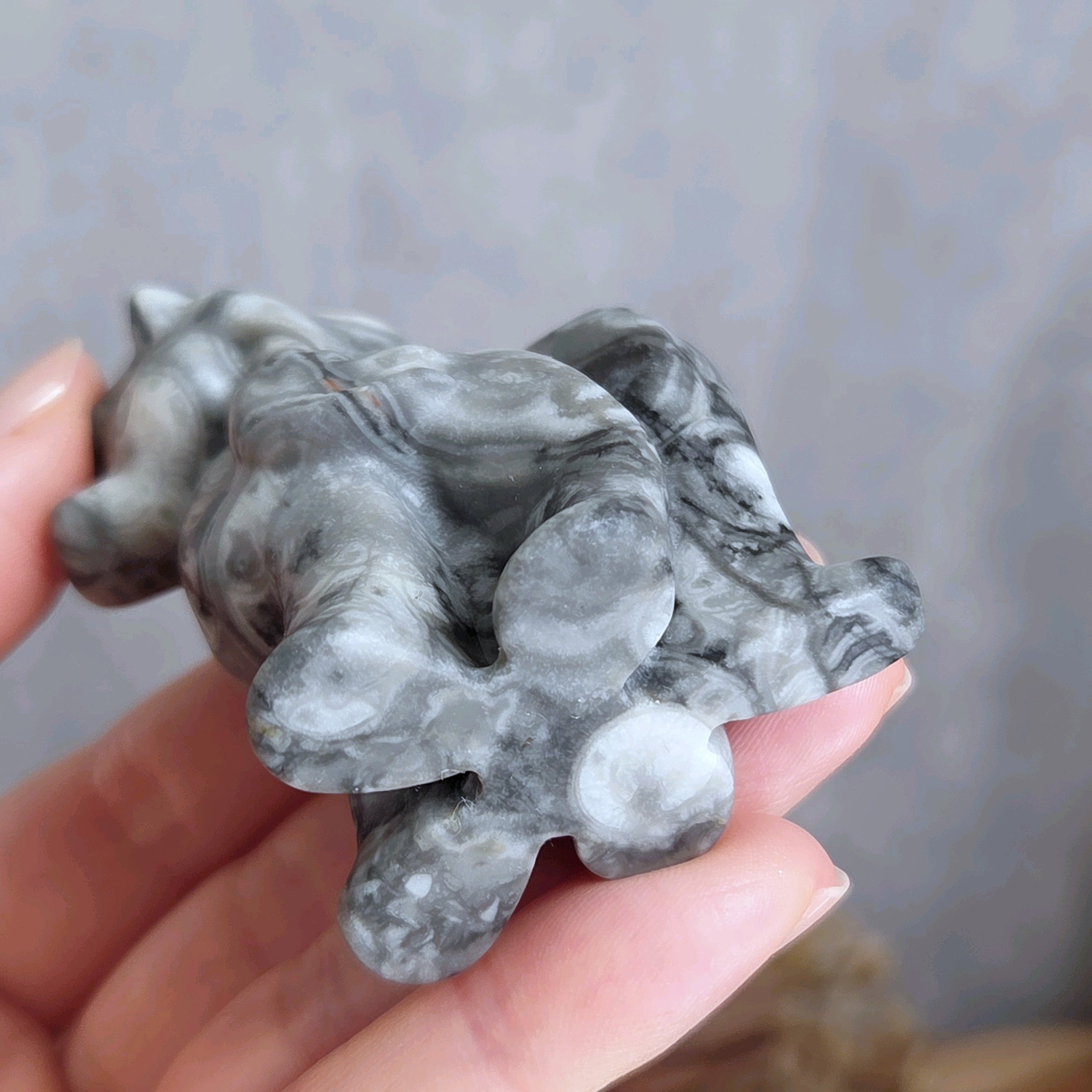 フォッシルジャスパー ポニー | ホシノカケラ STONE/AROMA/ART