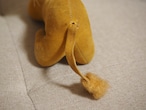 まゆげライオン(破れ、シミあり) 画像14