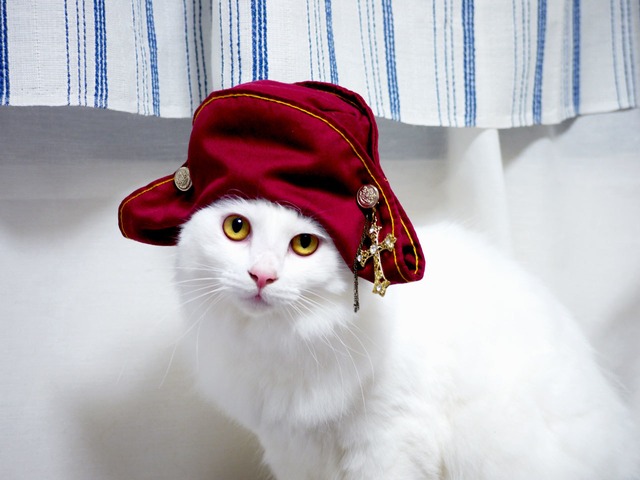 ナポレオンハット ブライス 猫ちゃんの帽子 二角帽子 Csship