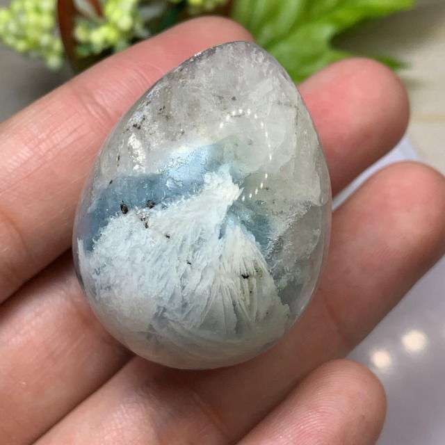 T39.エンジェルフェザーフローライト たまご