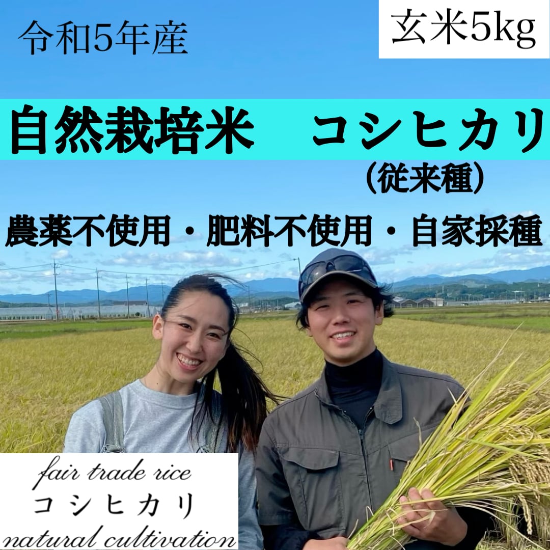 コシヒカリ-　令和5年新米　自然栽培米　玄米10kg×2　農薬不使用・肥料不使用