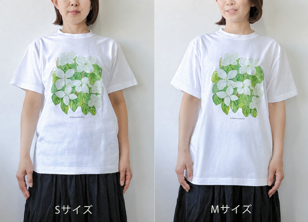 水彩画を着るTシャツ　「ヤマボウシ」