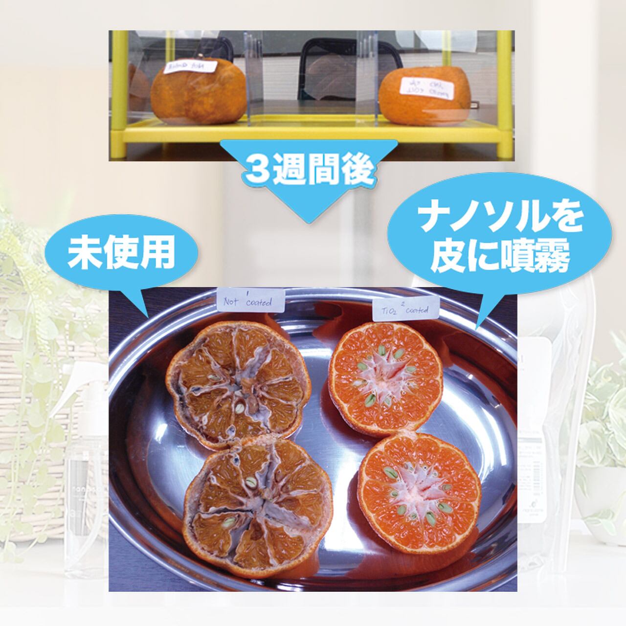 ナノソルCC】レフィル（300ml）＋スプレーボトル（小）容器付き