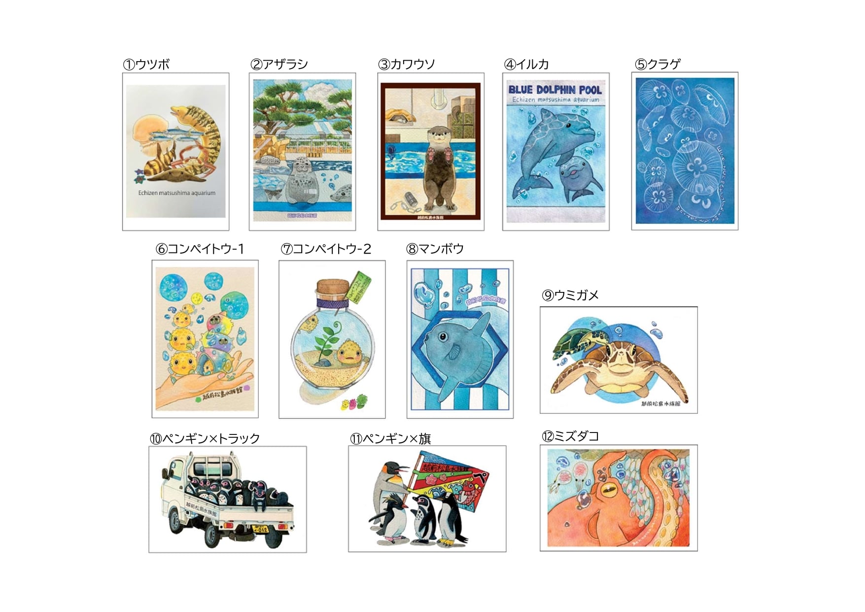 ポストカード【全12種類】 | 越前松島水族館 ONLINE SHOP