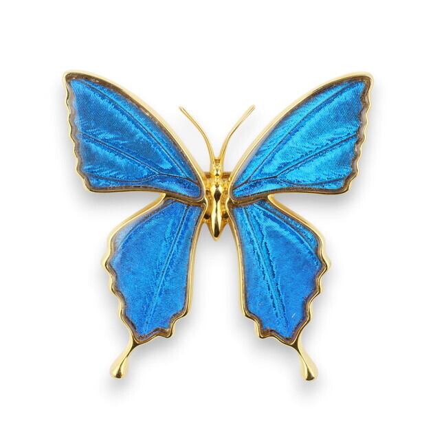 Psyche/現品] [zps025r-pur]本物の蝶の翅 アゲハ蝶 ブローチ兼