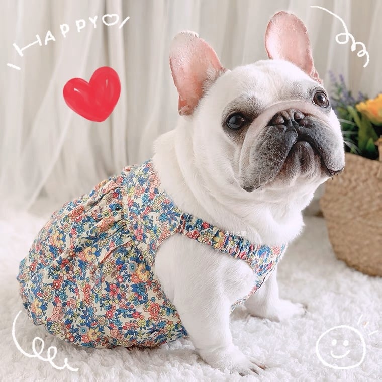 ハンドメイド犬服　小花柄ニットのヒラヒラお袖キャミワンピ　お袖2段レース付 花柄ワンピース❤️キャミソール 小型犬 中型犬 ドレス | hogan shop