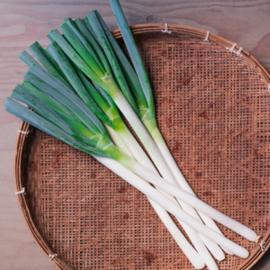 白ネギ　5kg