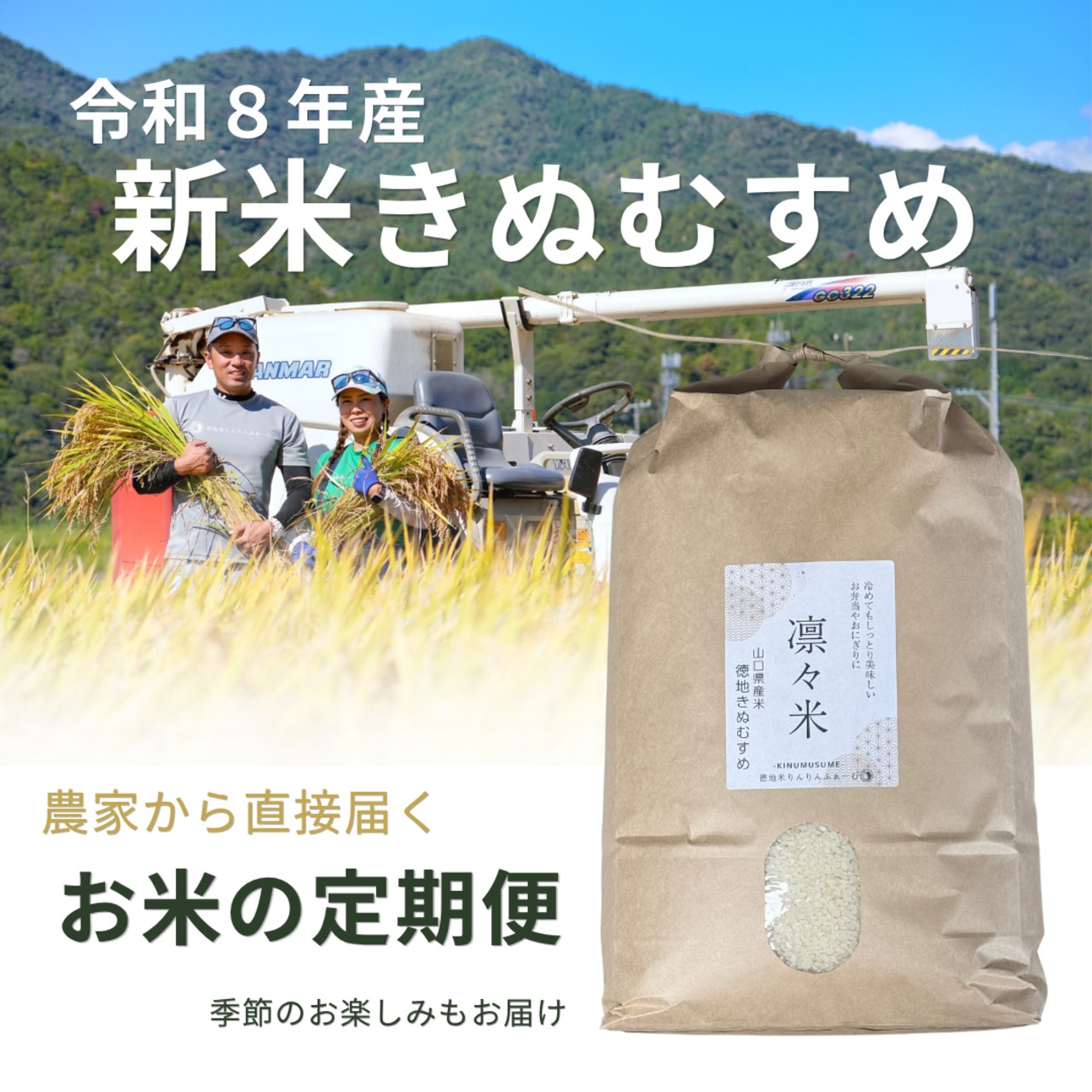 【定期便】玄米15kg｜徳地きぬむすめ｜農家直送 山口県｜ 送料無料（北海道、沖縄を除く）