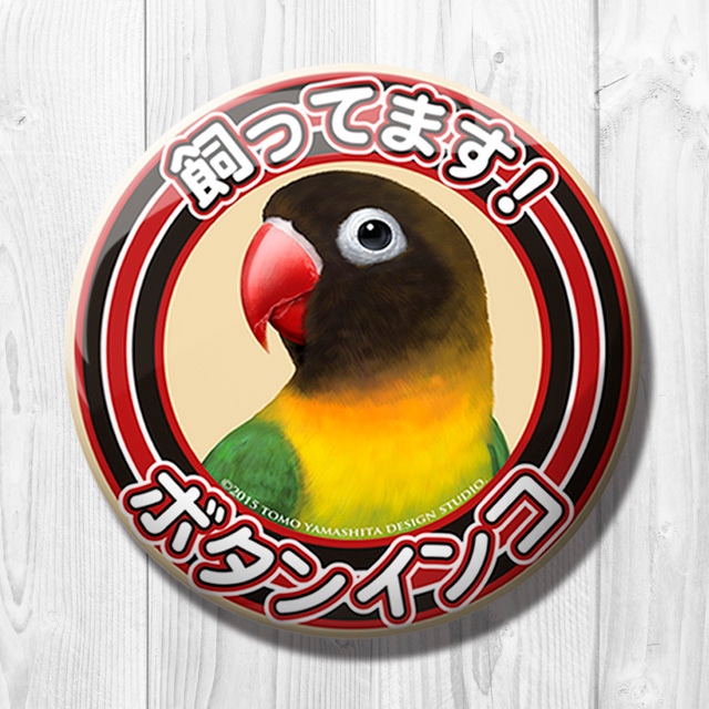 飼ってます缶バッジ　「キエリボタンインコ」