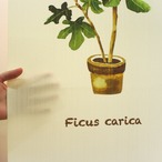 【受注生産】 のれん 葉っぱ 幅85ｘ丈150cm