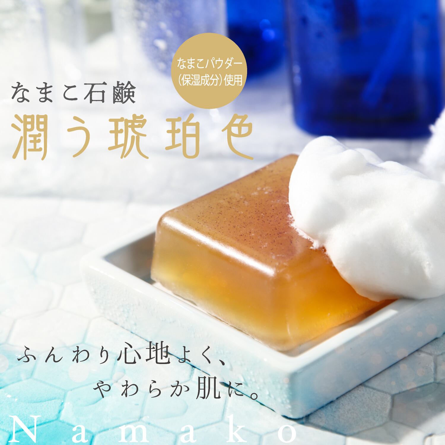 精選版 乾燥なまこ化粧箱入り 愛し