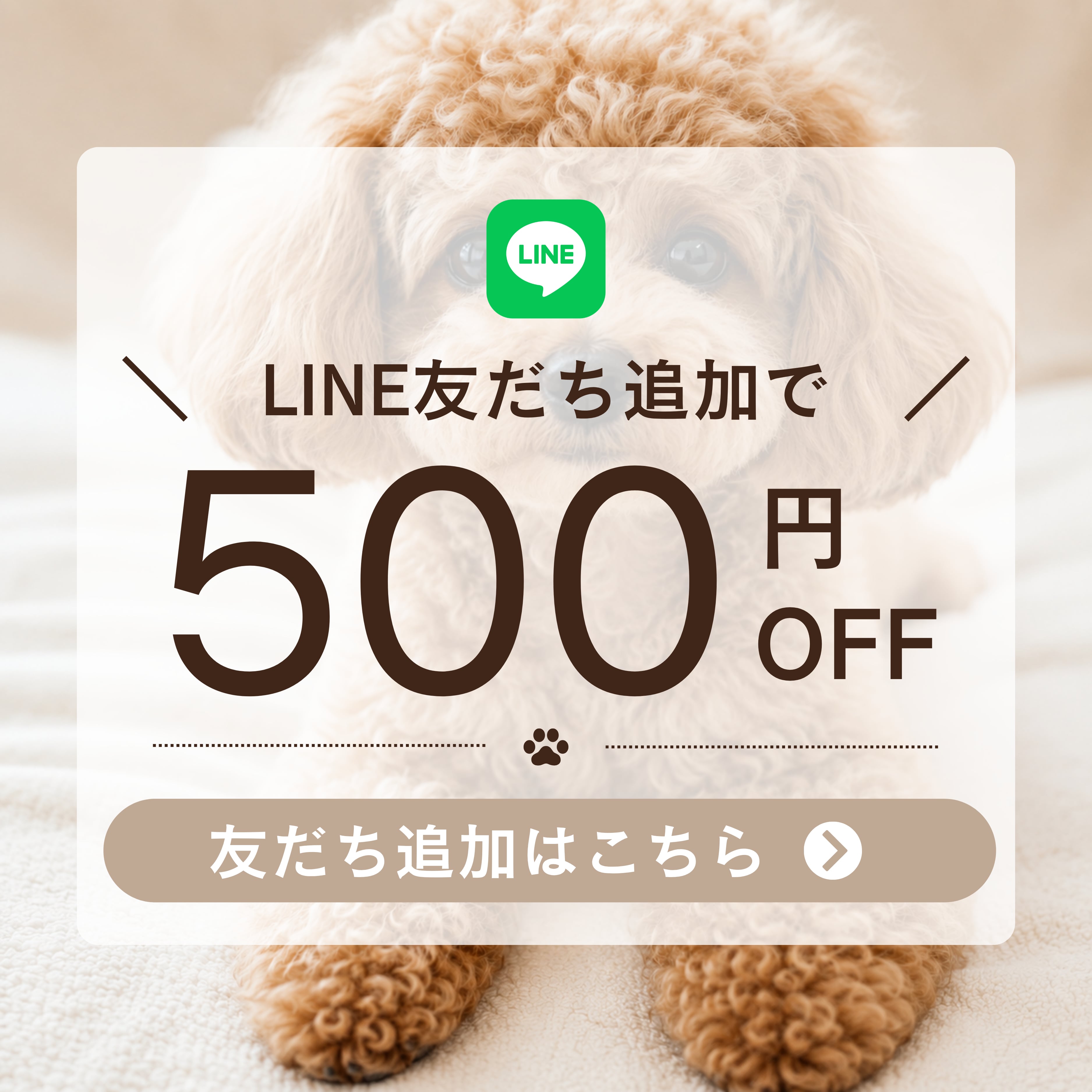 キャンペーン画像
