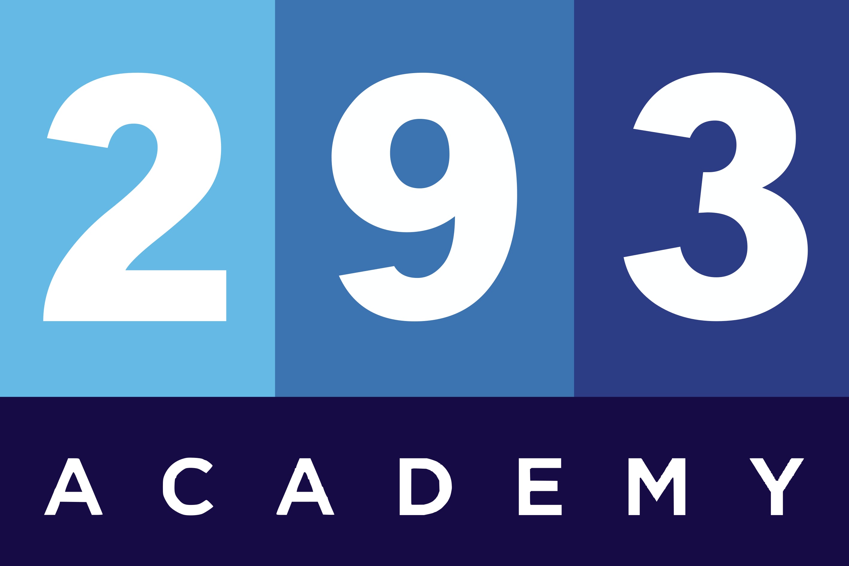 293 ACADEMY