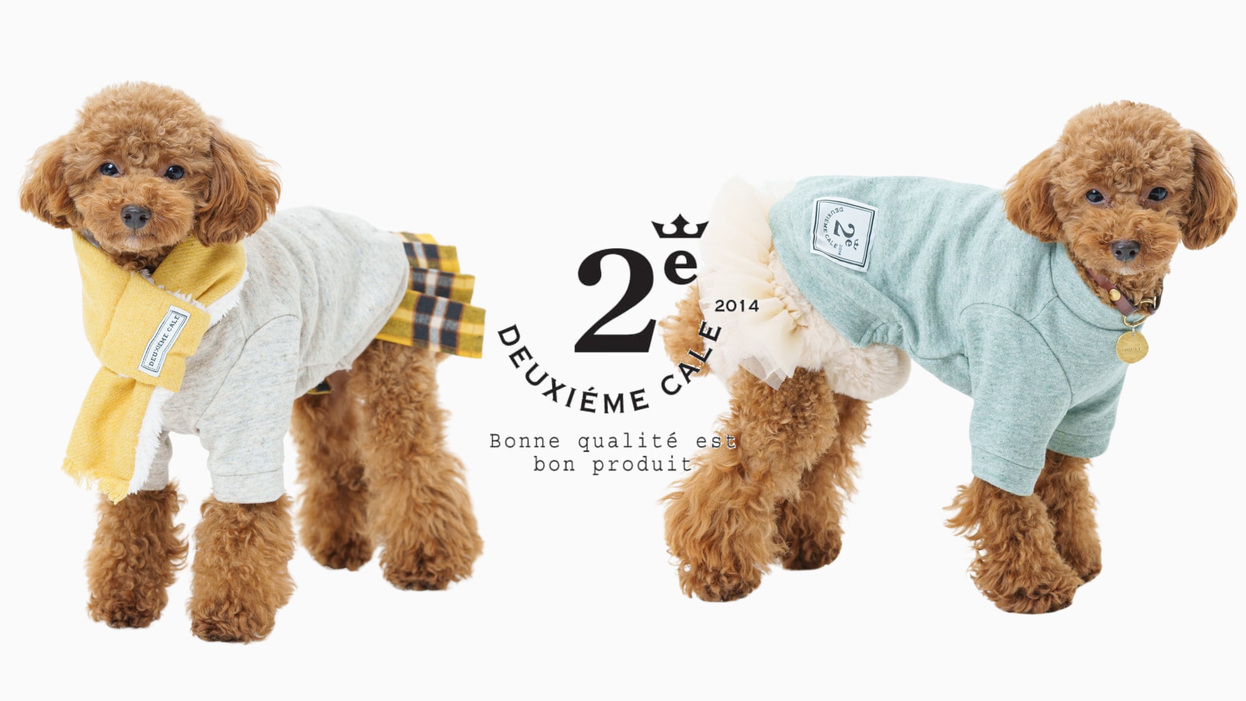 犬服 L わんこの普段着レトロデイジー