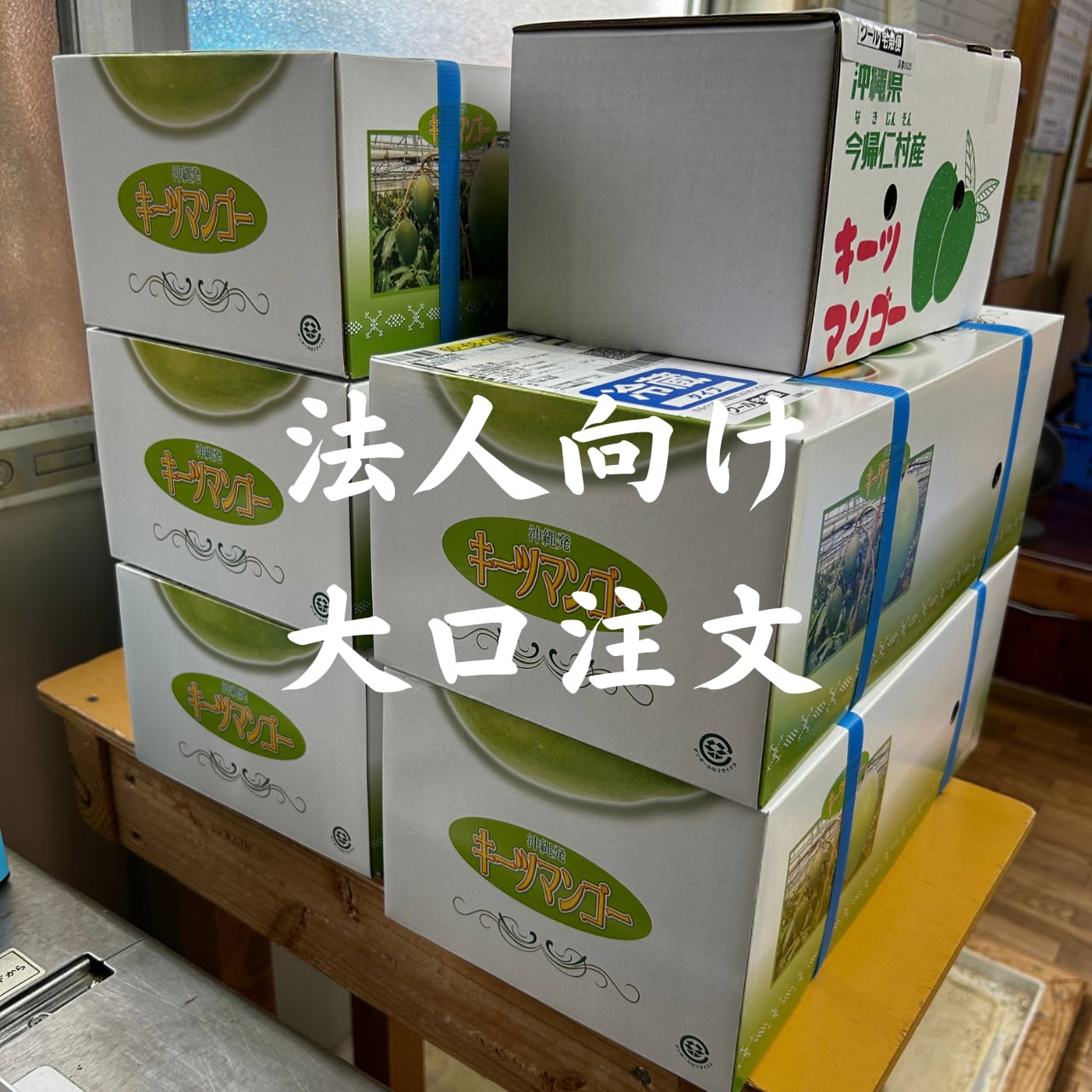 みなとばる農園