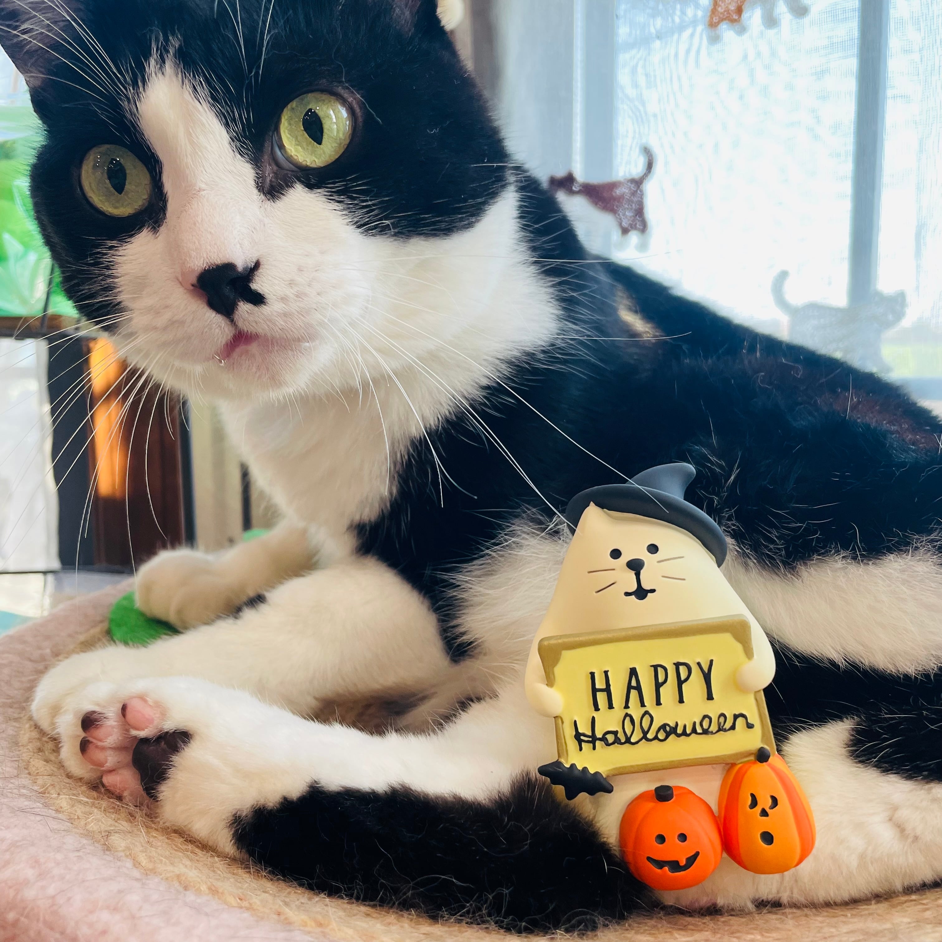 Happy Halloween