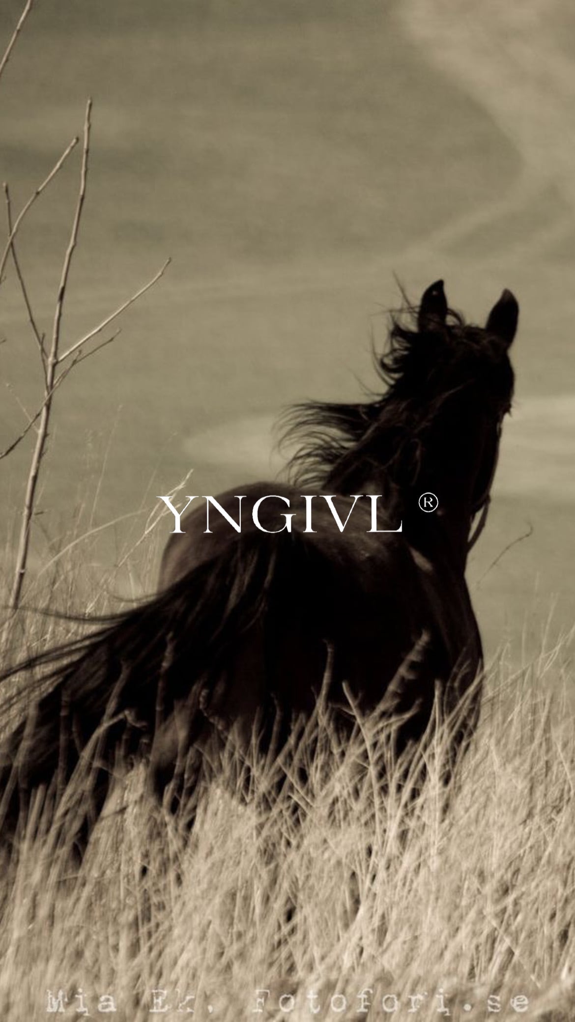 YNG4L
