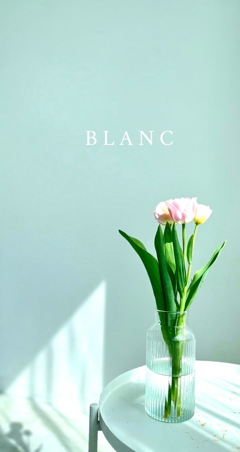 blanc