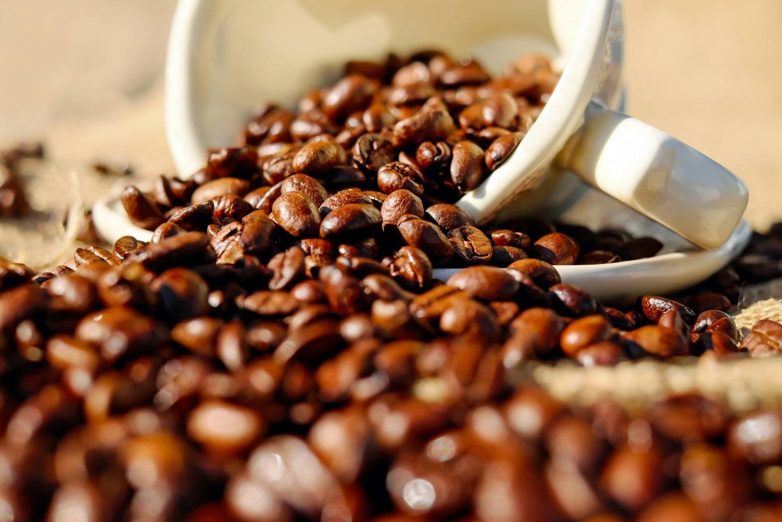 COCOCOcoffee