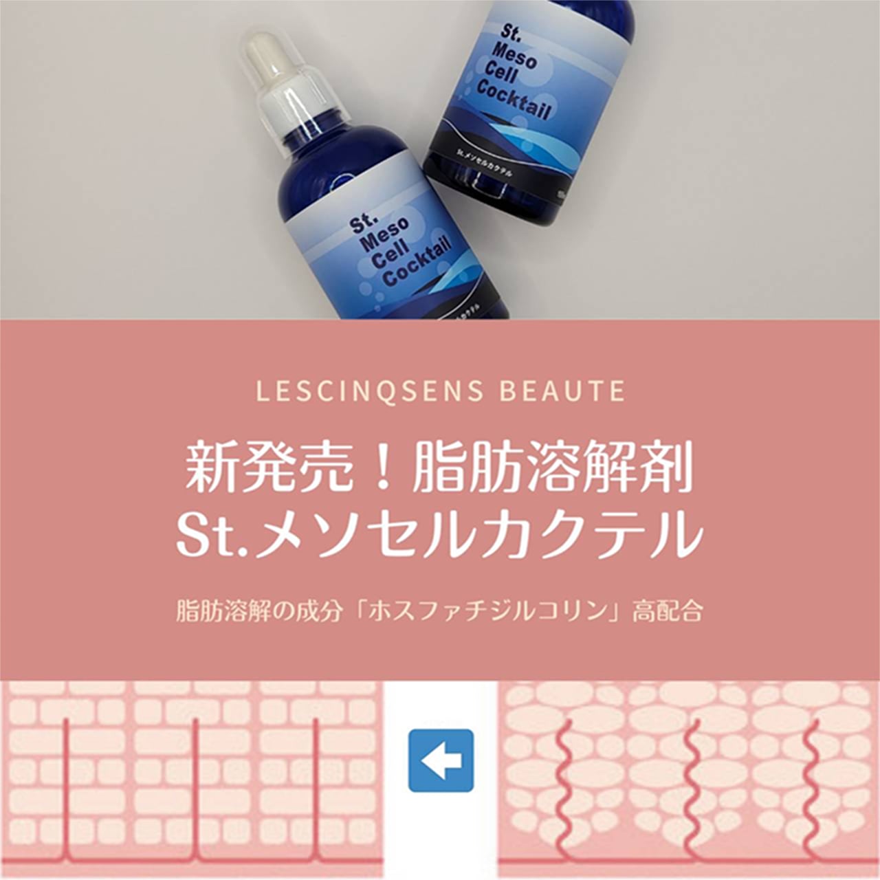 脂肪溶解ジェル 【st.メソセルカクテル】 100ml 美容ジェル