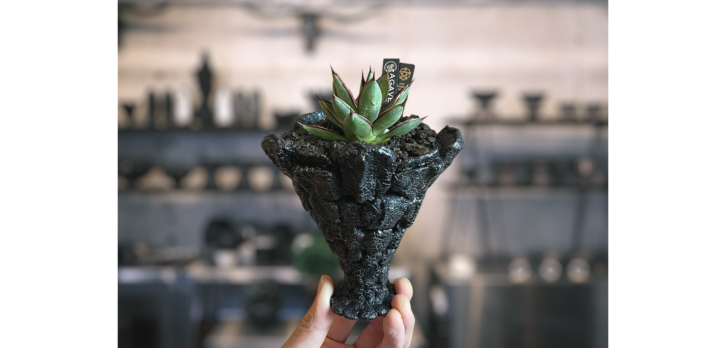 F.E.P. (Five Elements Plants)