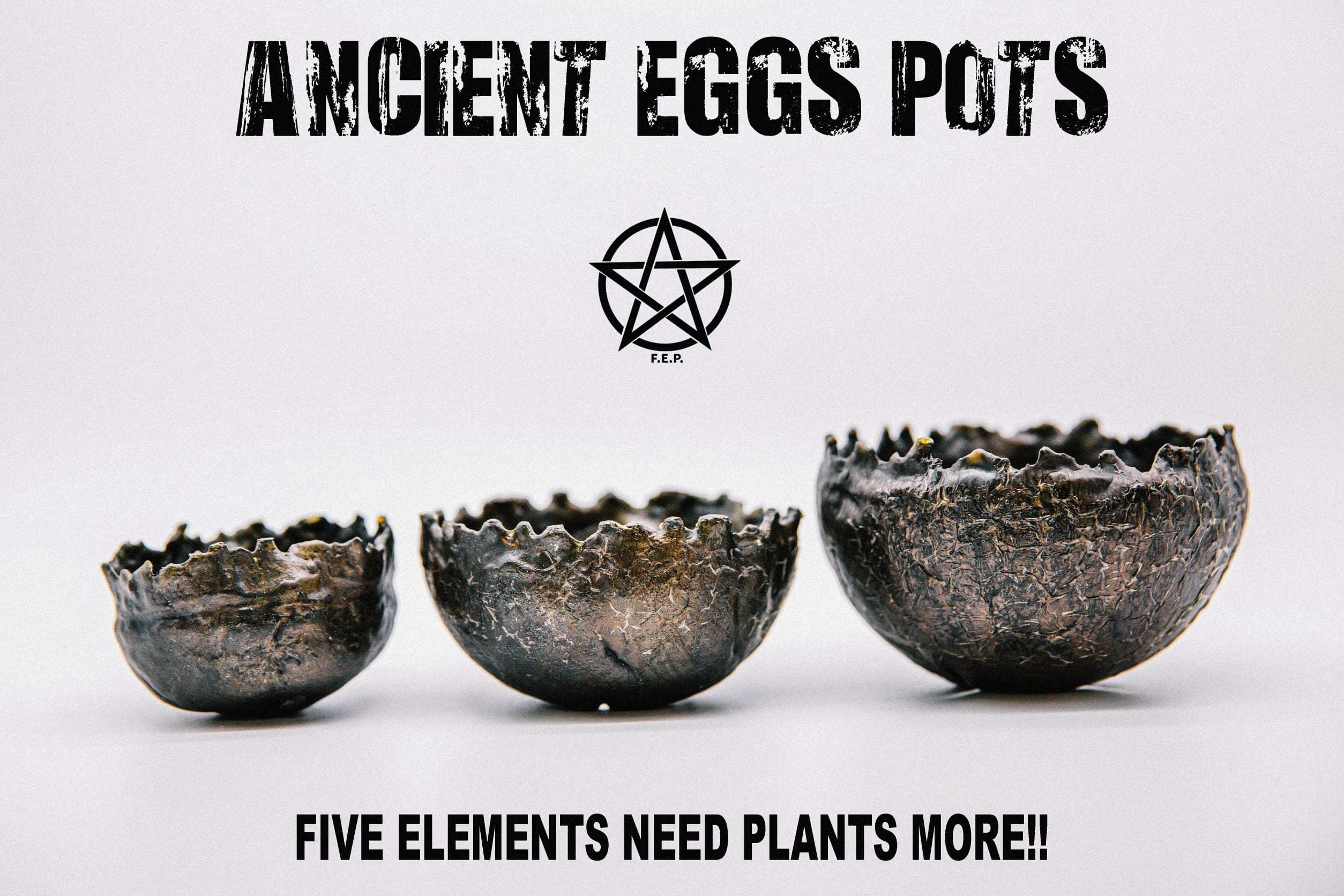 F.E.P. (Five Elements Plants)