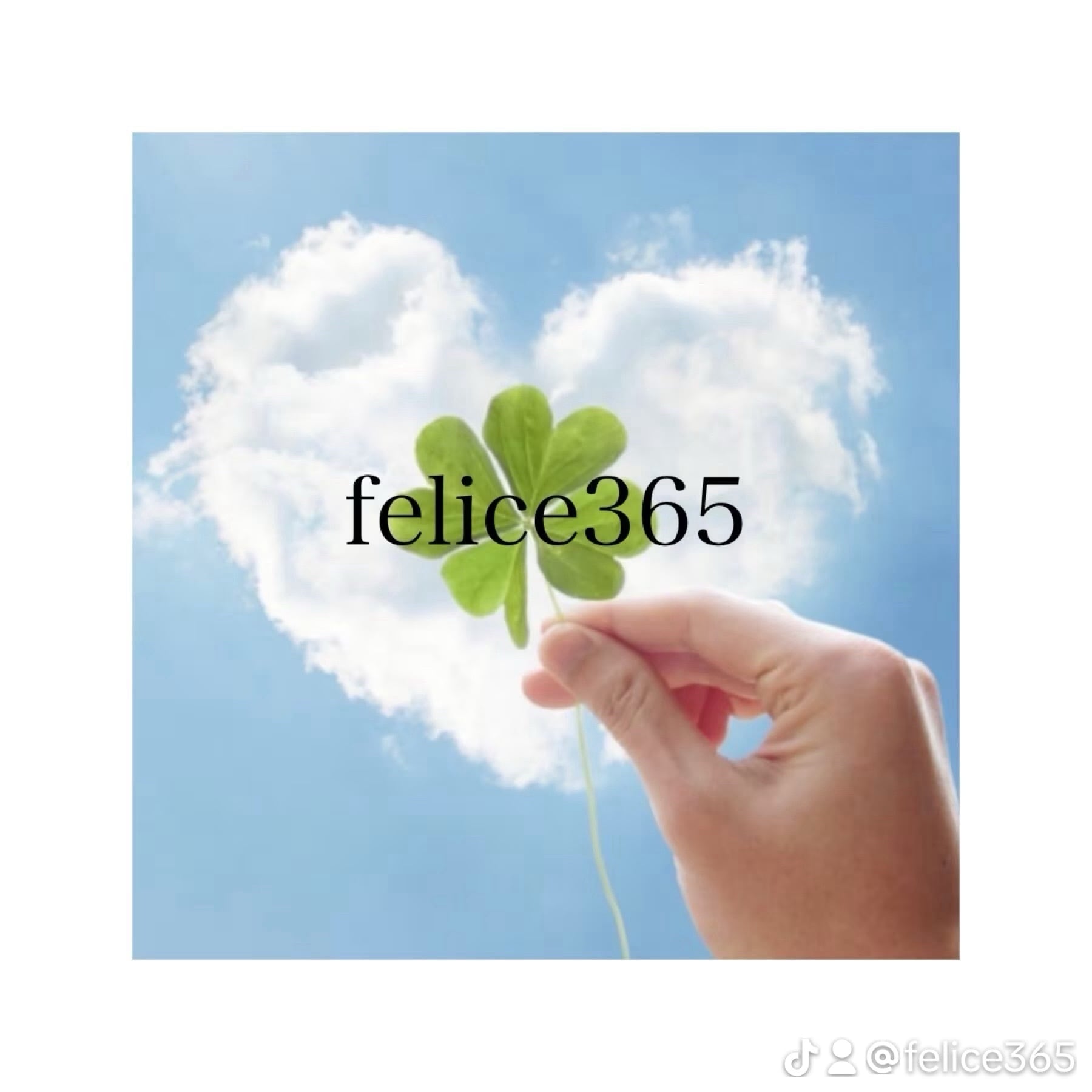 felice365