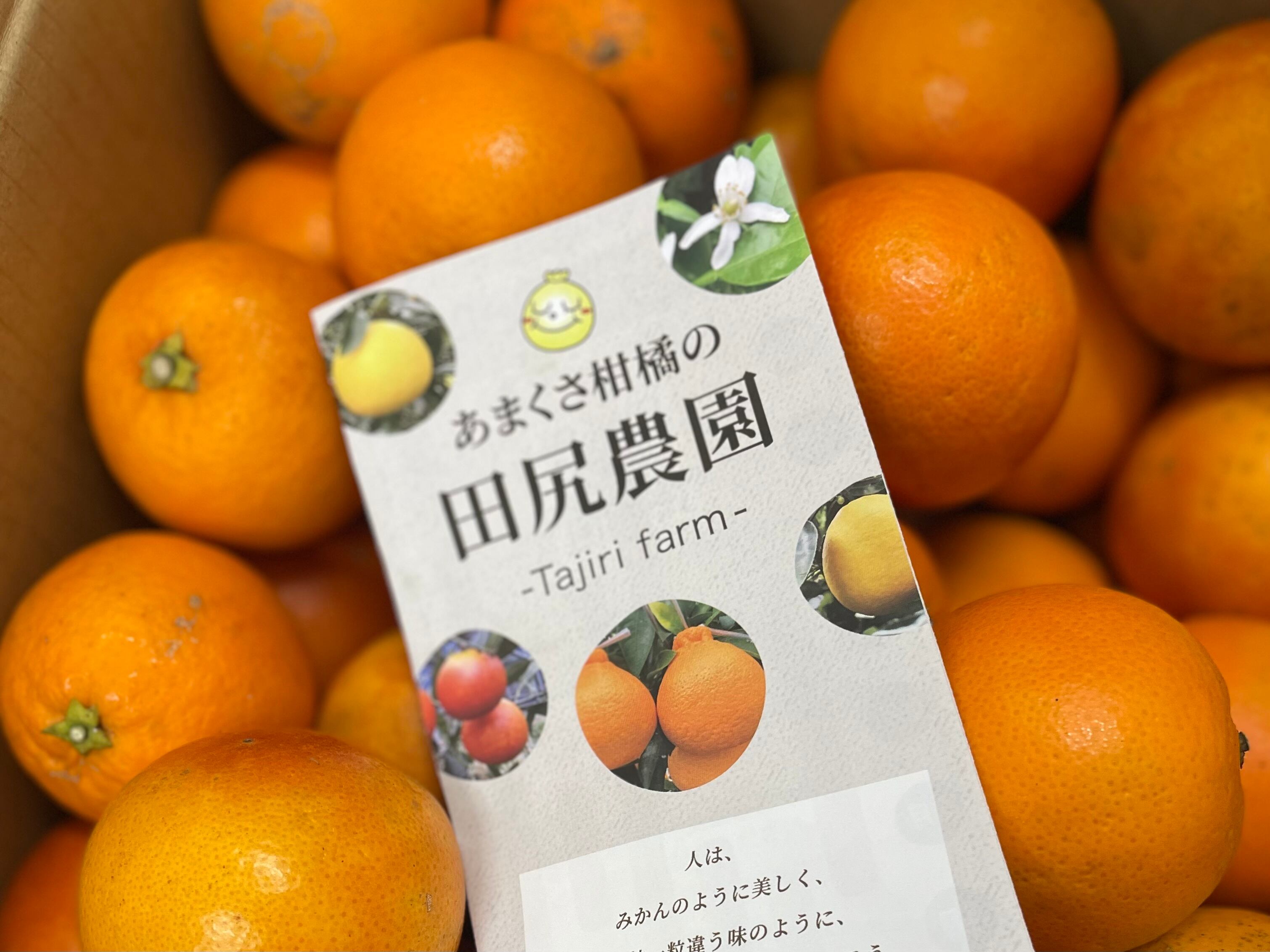 Toki-Tokyo Baumkuchen